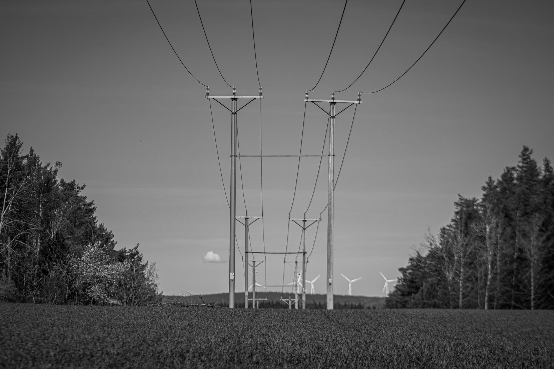 Renewable Curtailment: A Sign of Market Failure or a Rational Operational Choice? — wind turbines and high voltage power lines in rural landscape