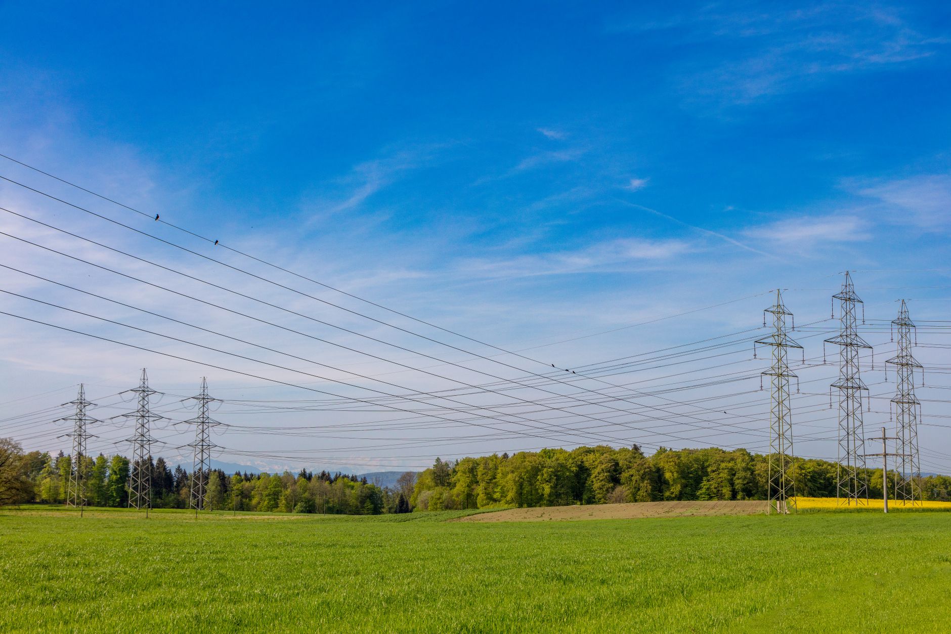 Cross-Border Interconnectors: How European Market Coupling Creates Shared Capacity — high-voltage electricity interconnector pylons crossing a rural European landscape under cloudy skies
