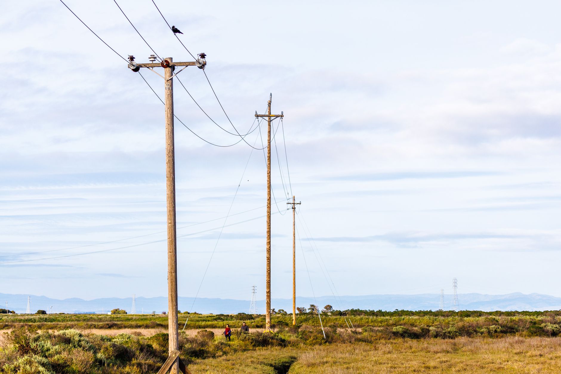 Grid Automation: From Manual Switching to Self-Healing Networks — utility distribution power lines with automated switches and reclosers along a rural road